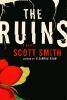 The ruins : a novel