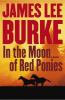 In the moon of red ponies : a novel