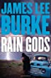 Rain gods : [a novel]