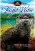 Ring of bright water [DVD] (1969).  Directed by Jack Couffer.