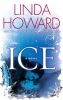Ice : a novel