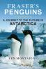 Fraser's penguins : a journey to the future in Antarctica