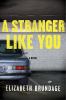 A stranger like you : a novel