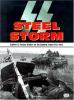 SS steel storm : Waffen-SS panzer battles on the Eastern Front, 1943-1945