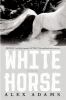 White horse : a novel