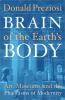 Brain of the earth's body : art, museums, and the phantasms of modernity