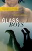 Glass boys [eBook]