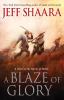 A blaze of glory : a novel of the Battle of Shiloh
