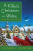 A killer's Christmas in Wales : a Penny Brannigan mystery