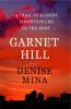 Garnethill [eBook] : a novel
