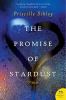 The promise of stardust : a novel