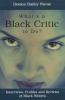 What's a black critic to do? : interviews, profiles and reviews of black writers
