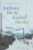 Kicking the sky : a novel
