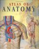Atlas of human anatomy.