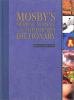 Mosby's medical, nursing, & allied health dictionary
