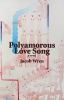 Polyamorous love song : a novel