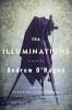 The illuminations : a novel