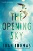 The opening sky : a novel