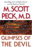 Glimpses of the Devil : a psychiatrist's personal accounts of possession, exorcism, and redemption