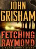 Fetching Raymond [eBook] : a Ford County story