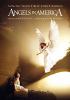 Angels in America [DVD] (2004).  Directed by Mike Nichols.