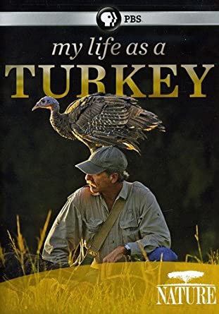 My life as a turkey [DVD] (2011).  Produced by David Allen.