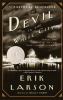 The Devil in the White City [eBook] : murder, magic, and madness at the fair that changed America