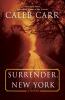 Surrender, New York : a novel