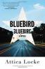 Bluebird, bluebird : a novel