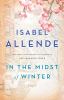 In the midst of winter : a novel
