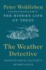 The weather detective : rediscovering nature's secret signs