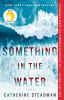 Something in the water [eBook] : a novel