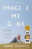 Imagine me gone : a novel
